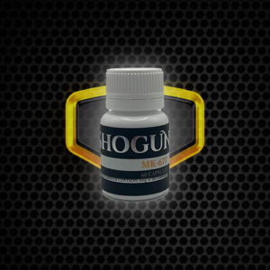 shogun mk.jpg